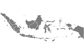 BNI For Indonesia